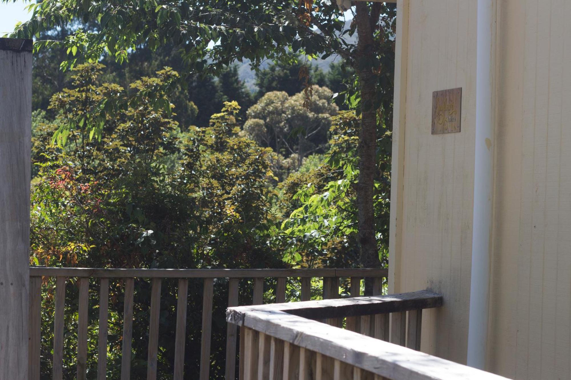 Aston Norwood Chalets Upper Hutt Exteriör bild
